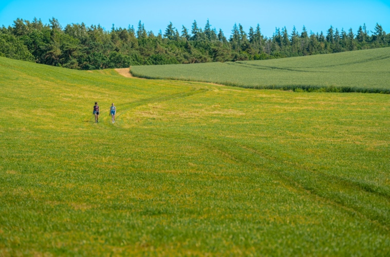 Bodden Panoramaweg Wandern Ralswiek
