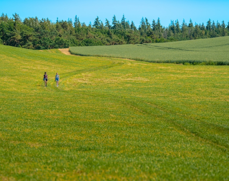 Bodden Panoramaweg Wandern Ralswiek