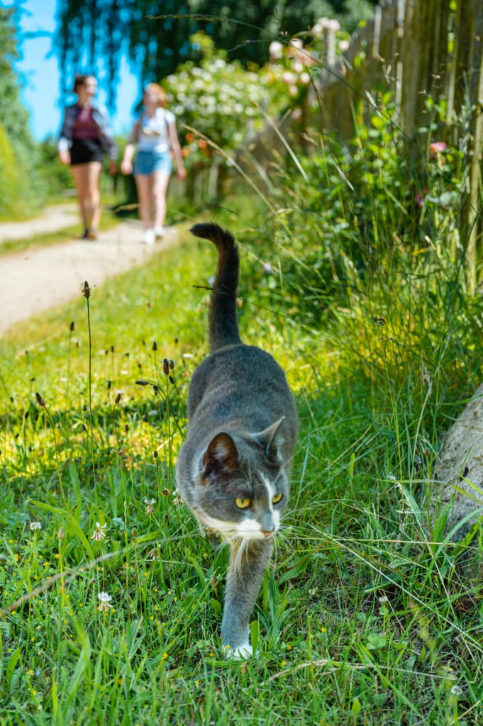 Tierische Begegnungen sind immer willkommen.