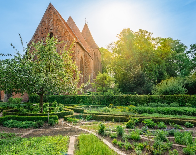 Der Klostergarten Rehna ist besonders für seine vielen Heilkräter bekannt. Foto: TMV/ Tiemann