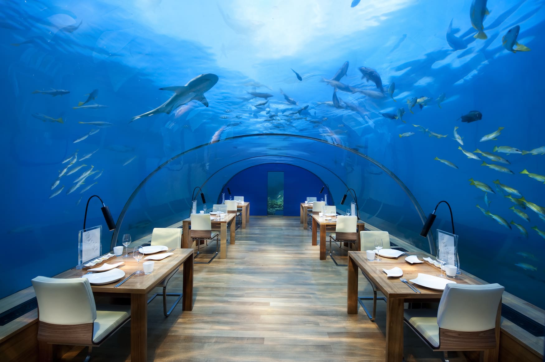 Malediven Bucketlist: Essen unter Wasser.