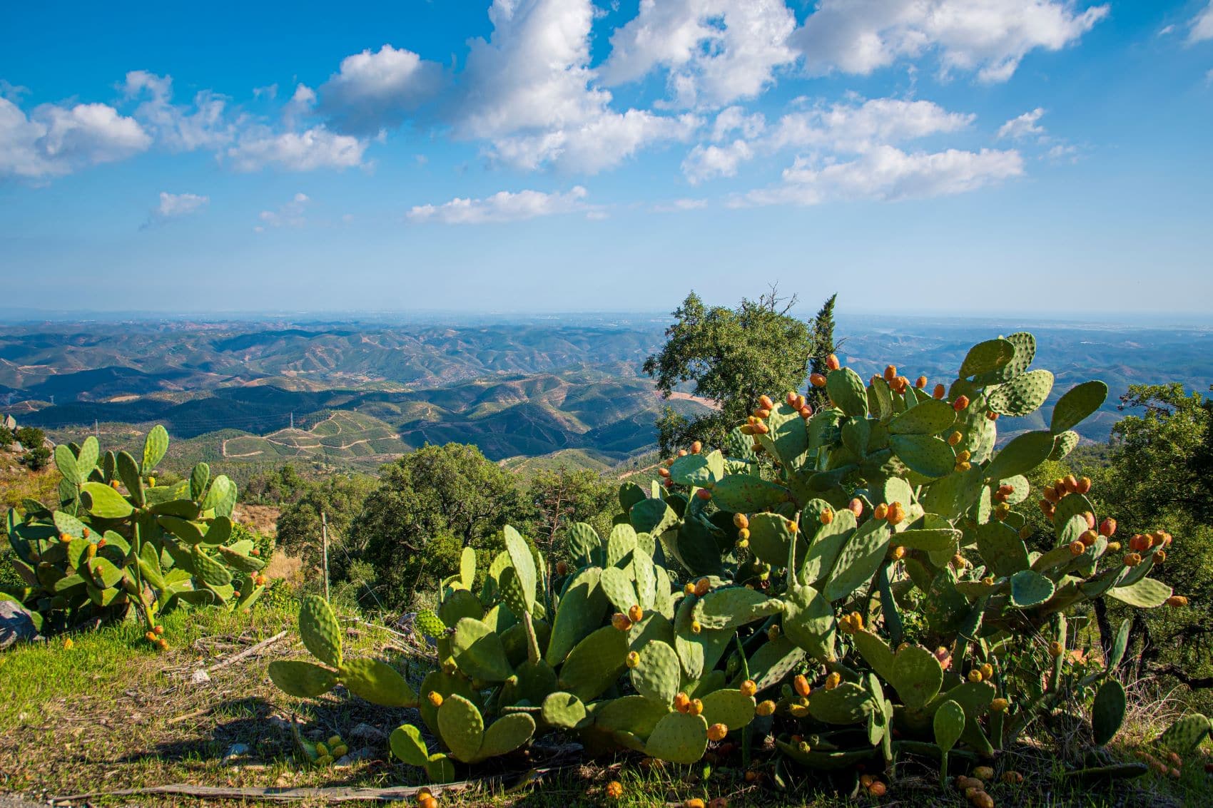Aussicht Picota bei Monchique in Algarve
