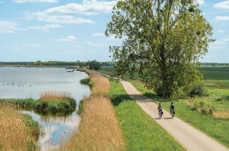 Auf Fahrradtour - Radweg Bugewitz ist auch ländliches wunderschönes Erlebnis