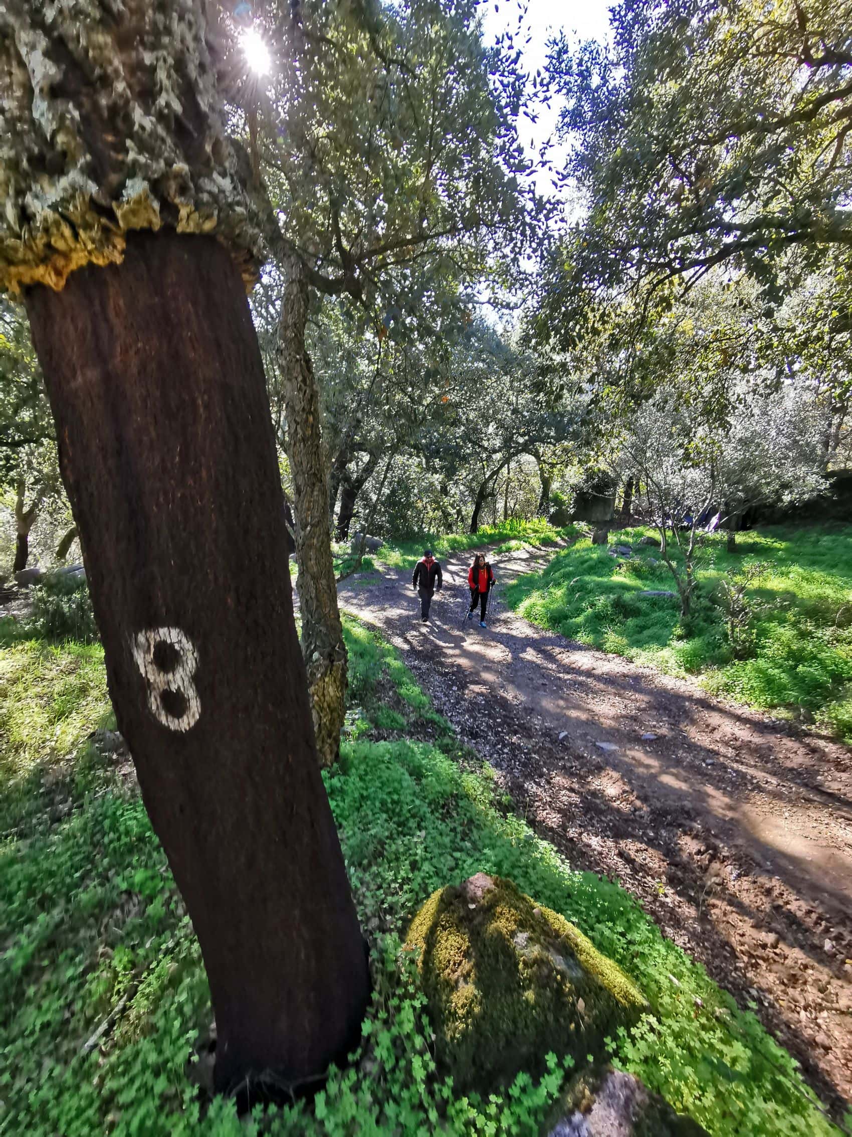 Wanderer auf Feldweg in der Algarve 