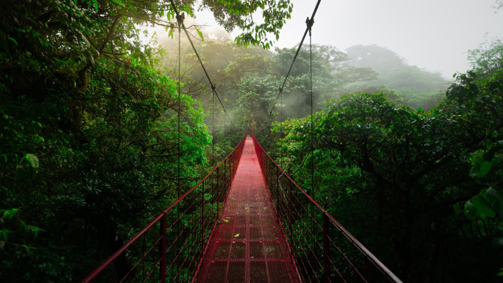 Eine Hängebrücke im Monteverde Cloud Forest Nature Reserve in Costa Rica.