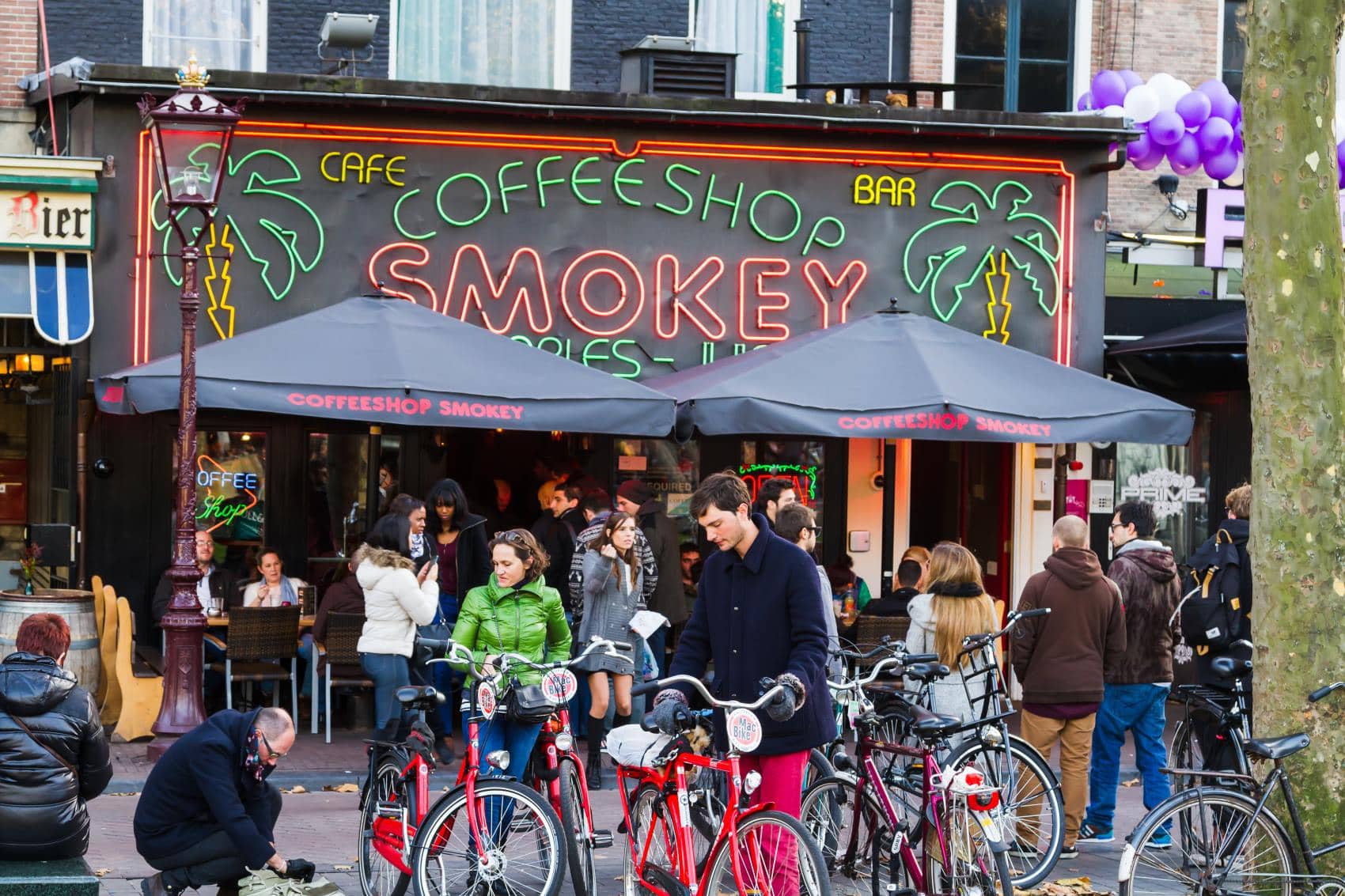 Coffee Shop Amsterdam