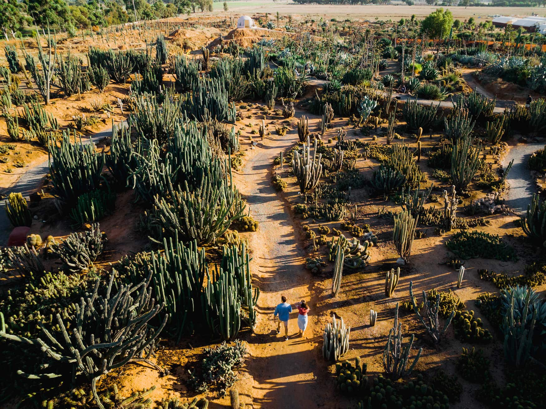 Cactus Country in Victoria in Australien