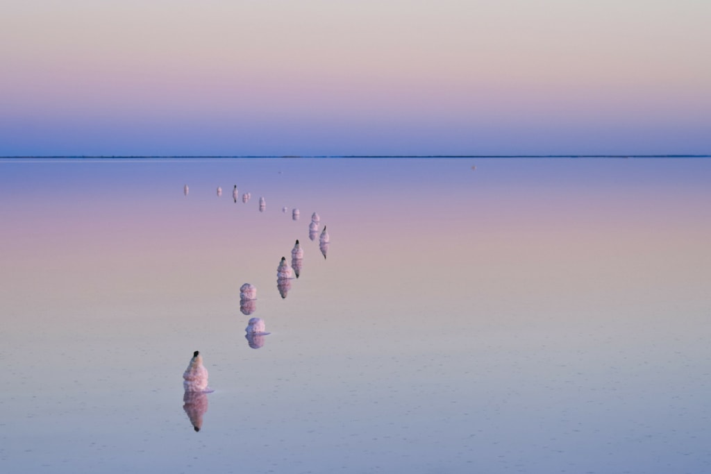 pinke Salzseen in Australien