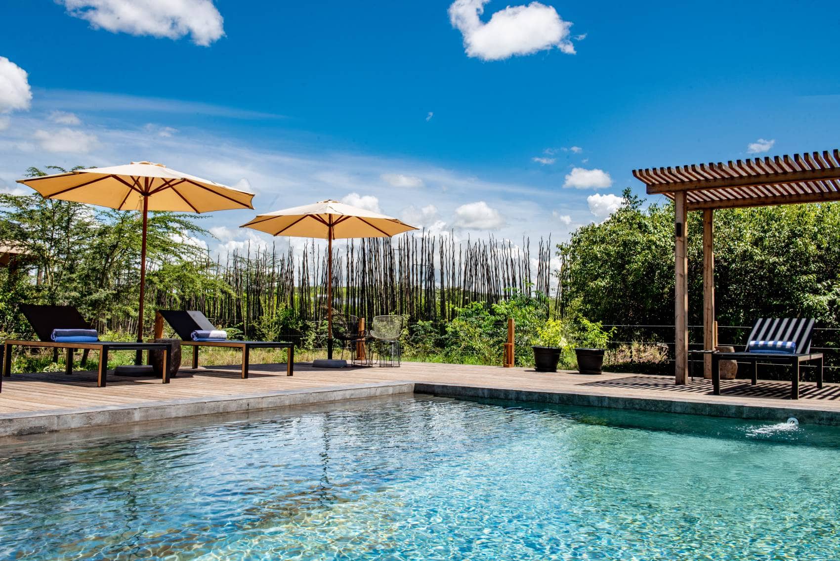 Pool im JW Marriott Masai Mara Lodge