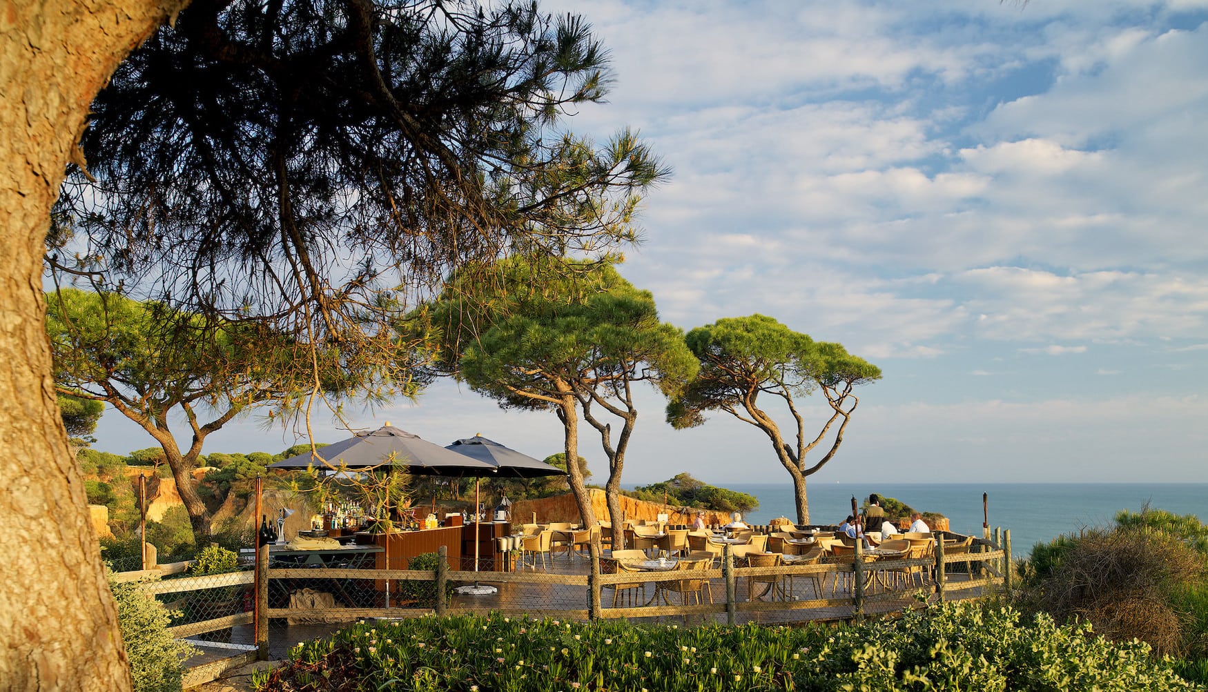 Bar im Pine Cliffs Hotel