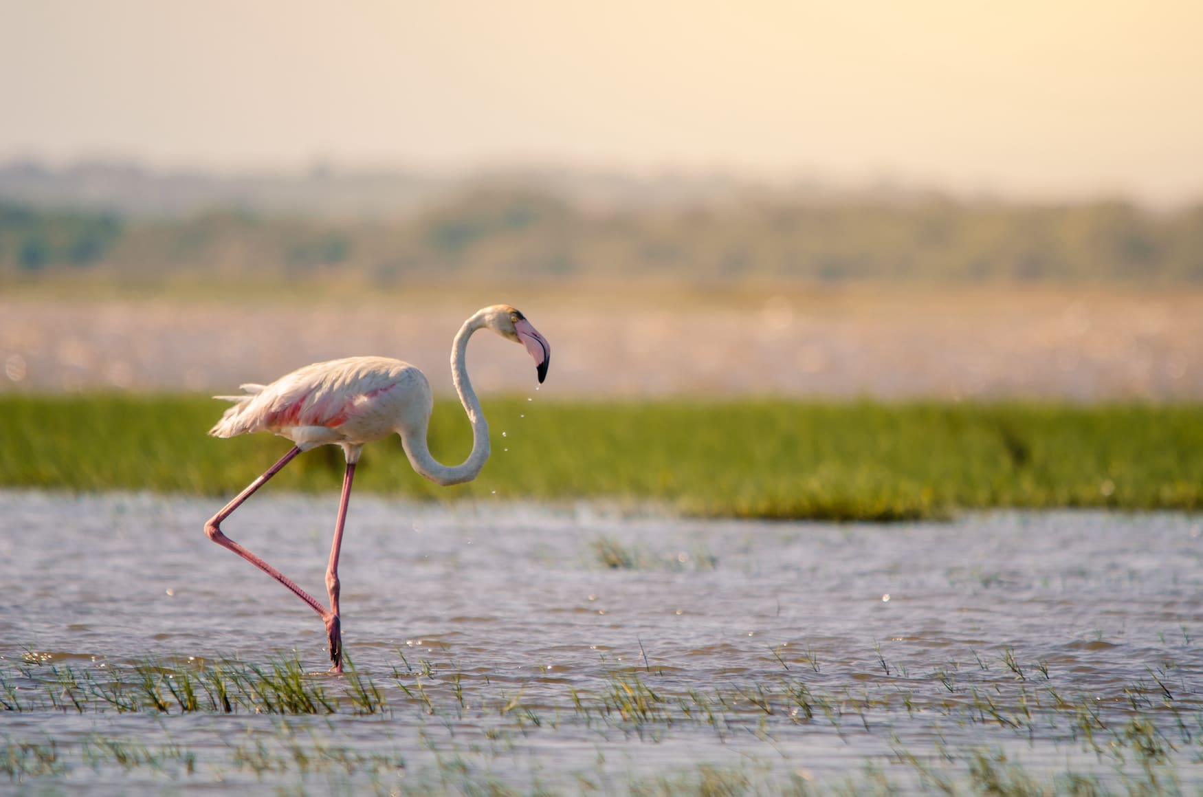 Wetlands in Südafrika
