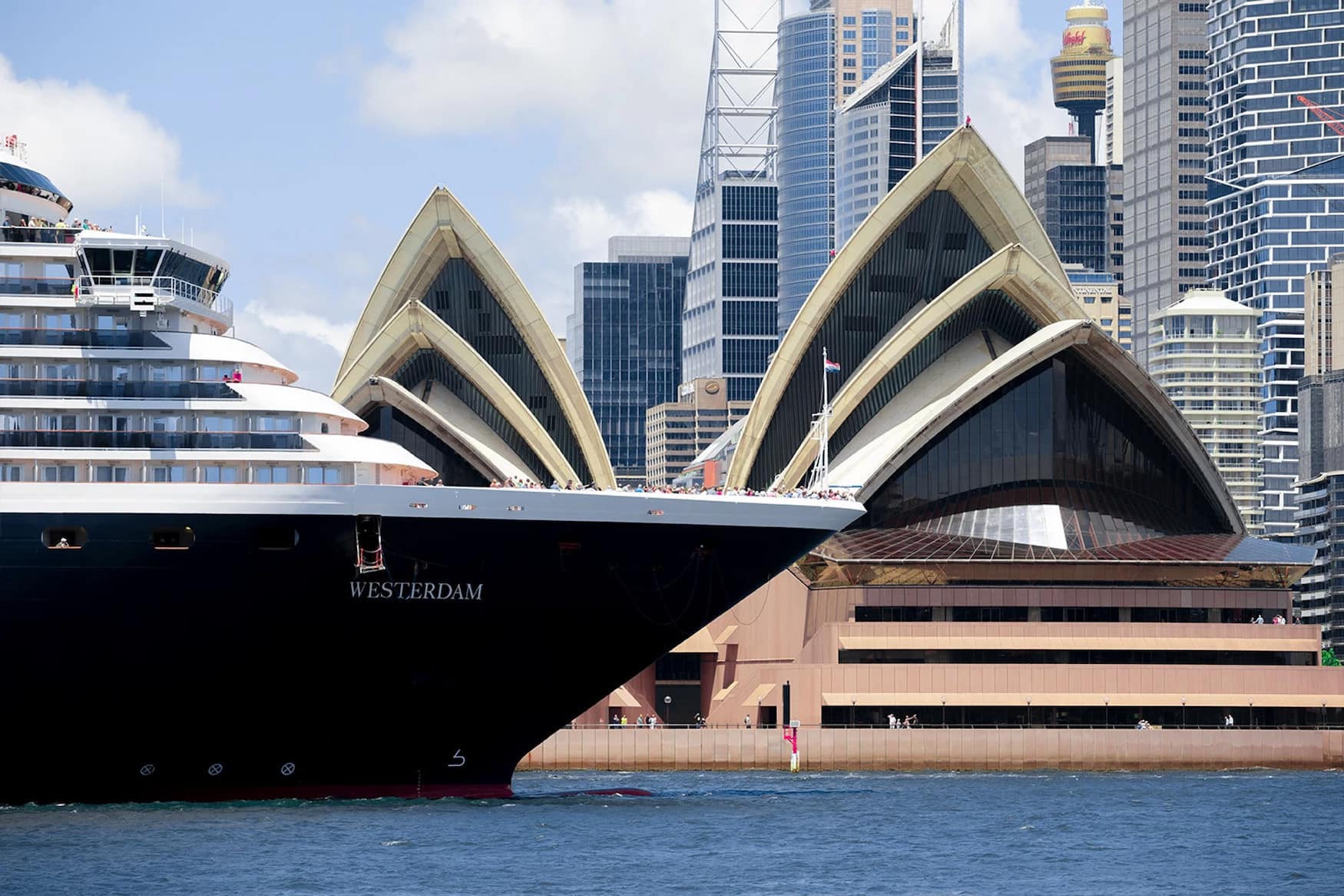 die Westerdam von Holland America Line in Sydney
