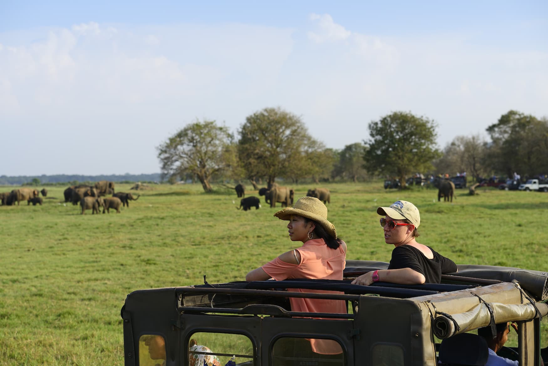 Jeep-Safari im Habarana Nationalpark, Sri Lanka, Asien