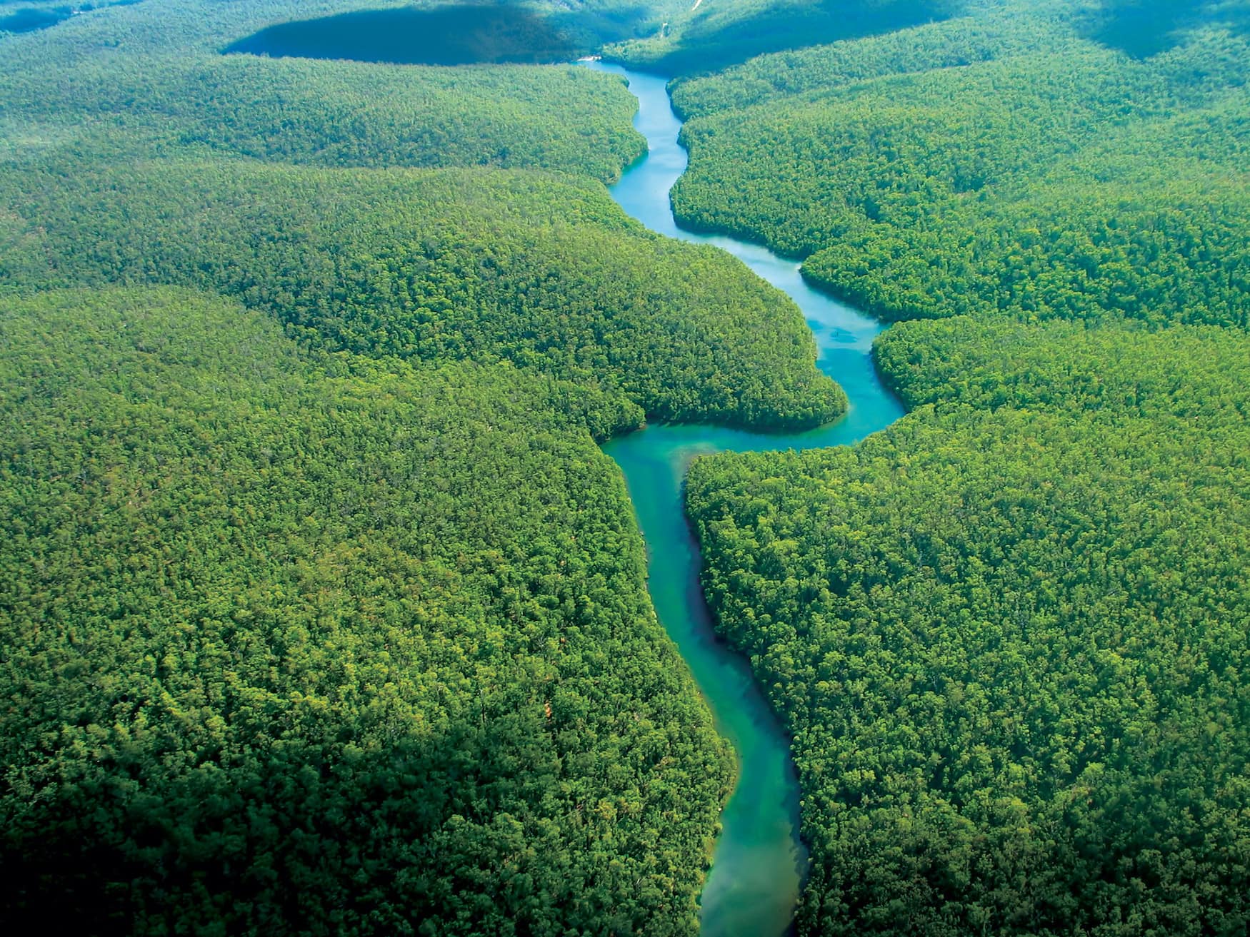 mit Holland America Line durch den Amazonas