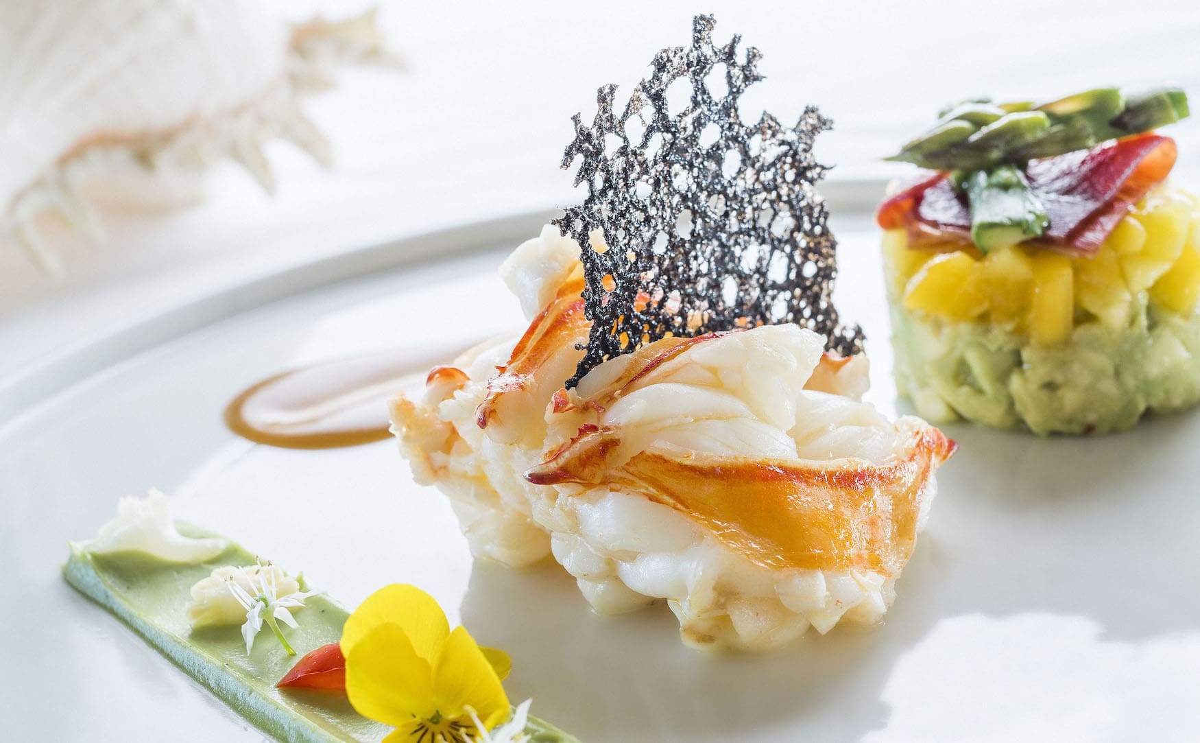 Lobster angerichtet auf einem Teller