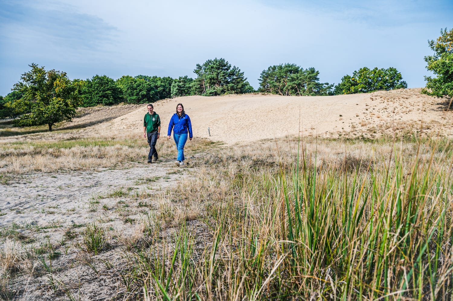 Altwarper Binnendünen am Stettiner Haff. Foto: TMV/Tiemann