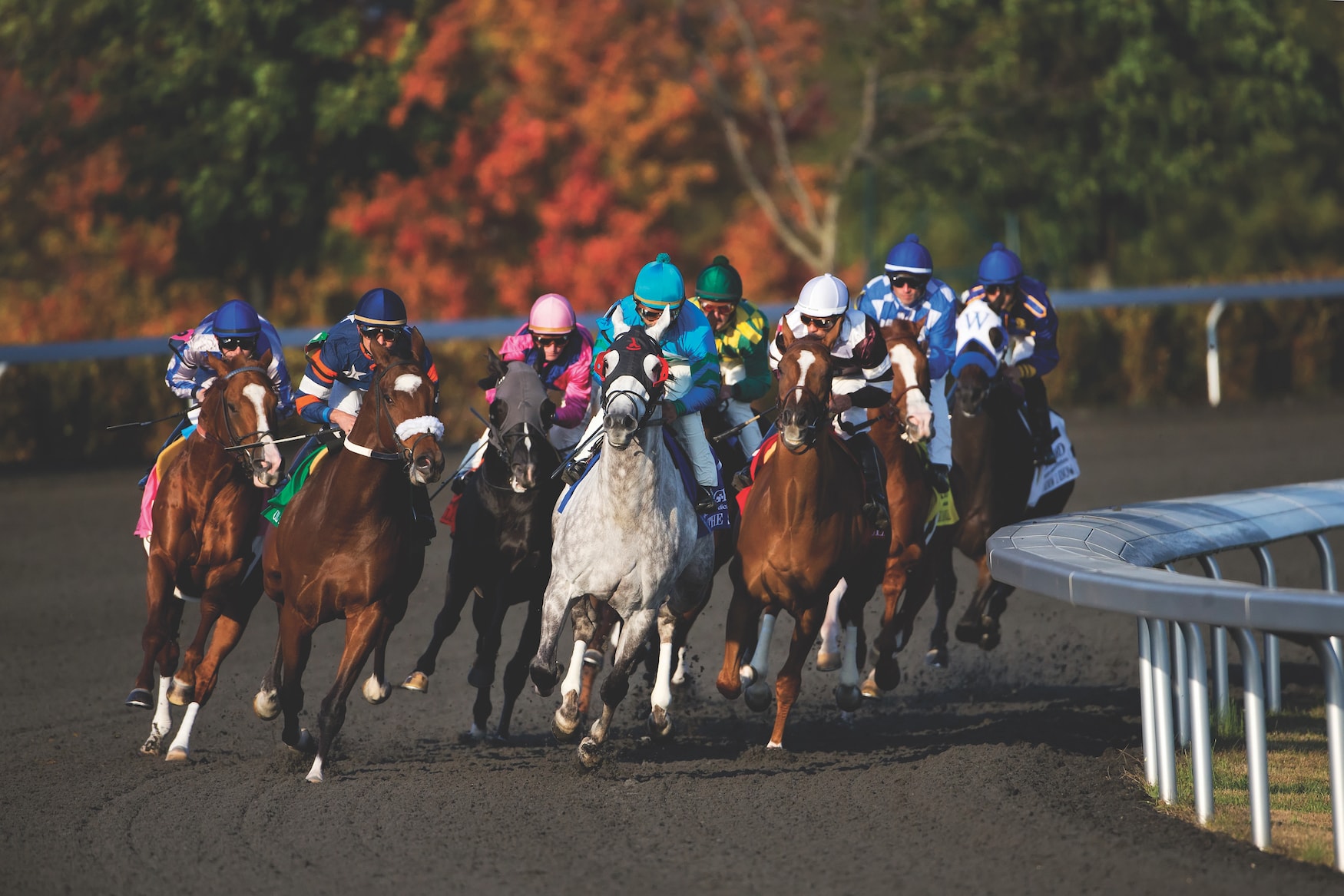 Keeneland Horse Racing