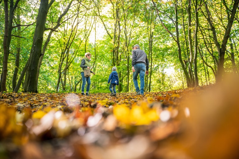Waldspaziergang Herbst Großeltern Neubrandenburg
