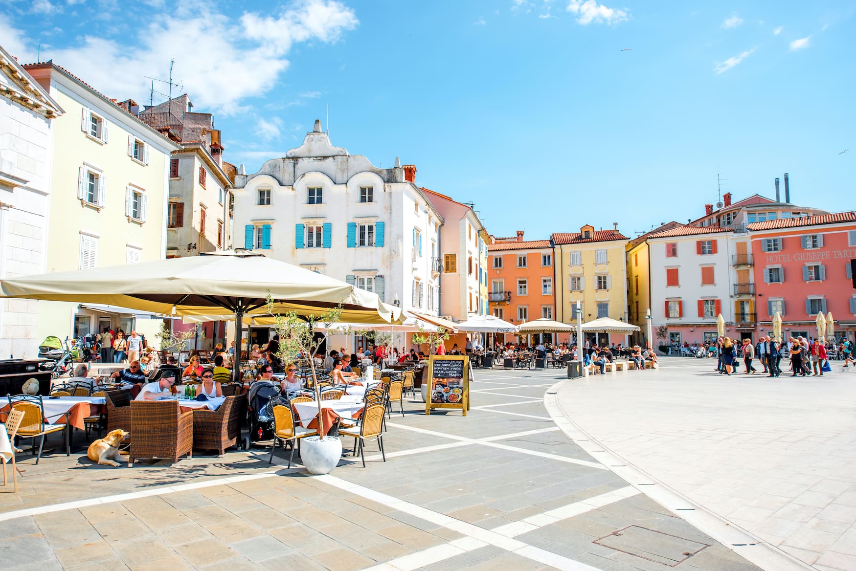 Tartiniplatz in Pirna, Slowenien