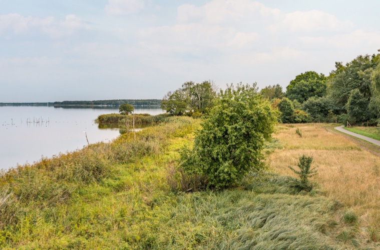 Riether Steige Neuwarper See Naturpark am Stettiner Haff. Foto: TMV/Tiemann