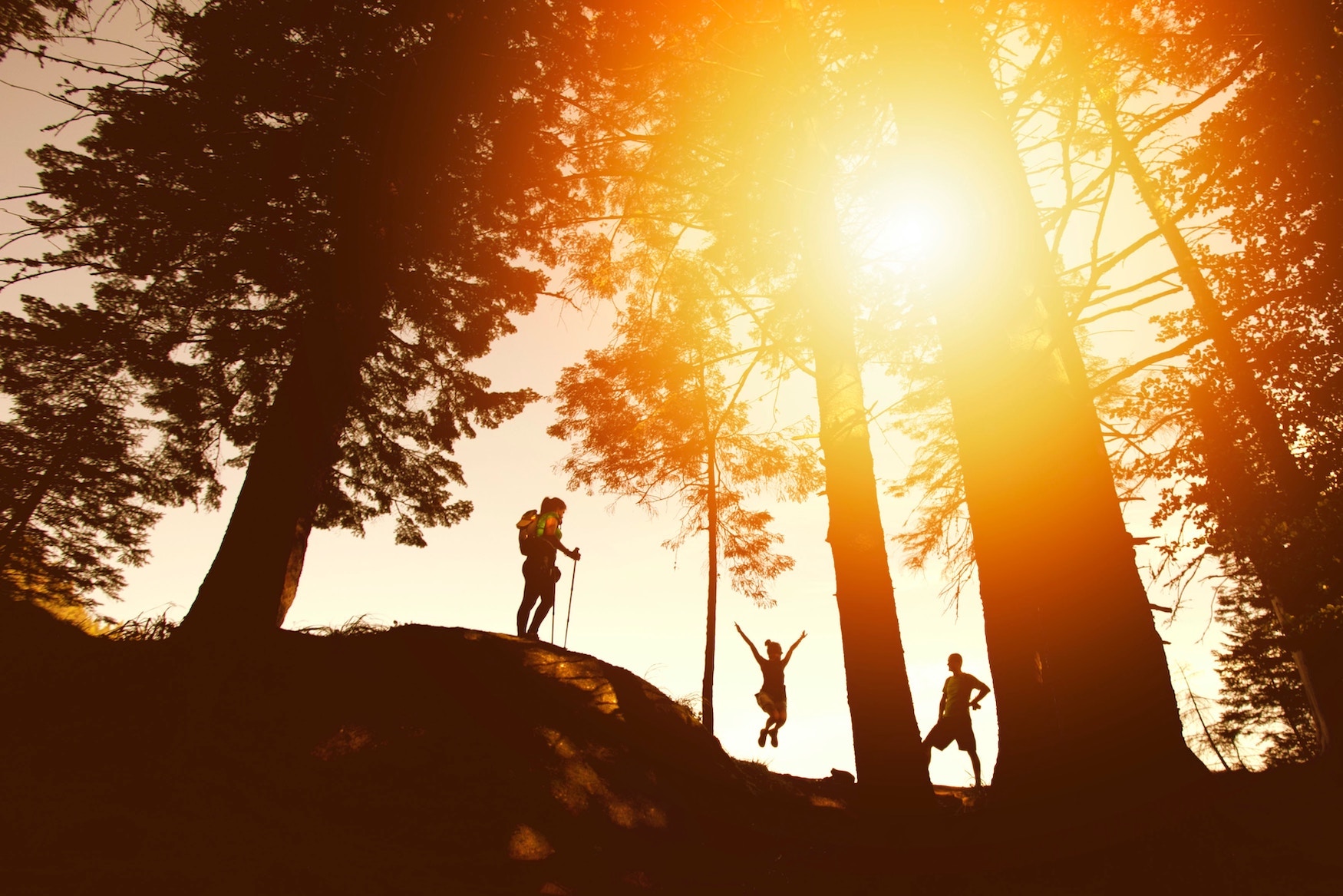 Freunde beim Wandern in den Bergen