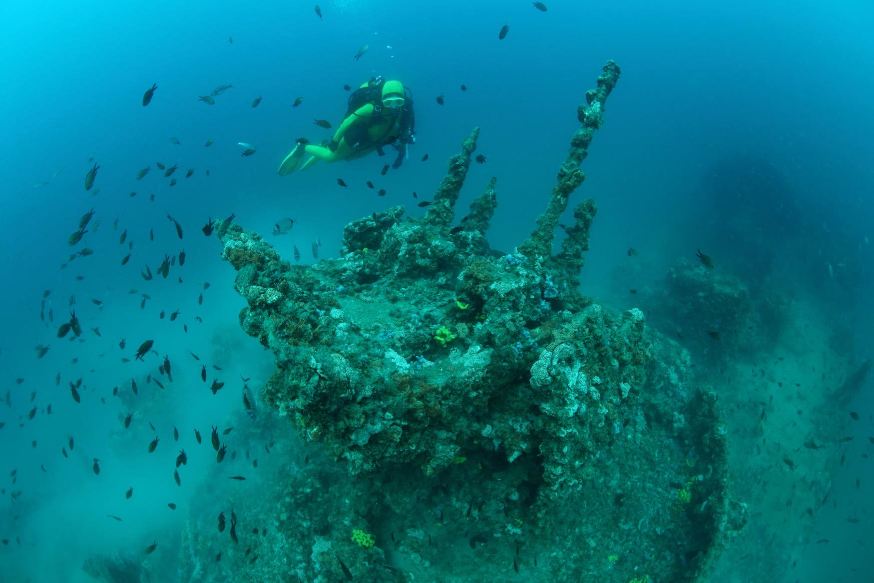 Tauchspots in Kroatien: Schiffswrack Giuseppe Dezza in Istrien