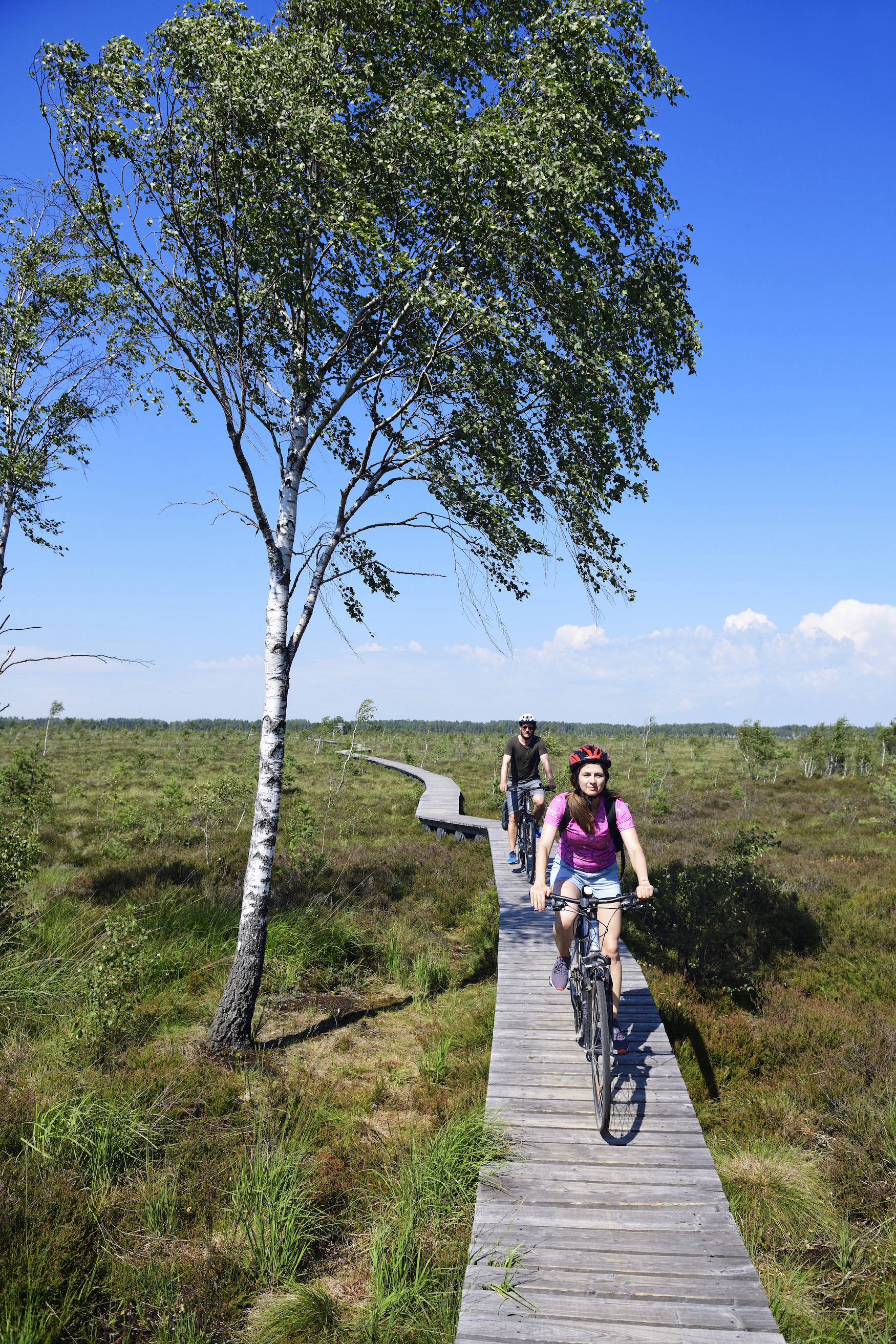 Radtouren durchs Moor