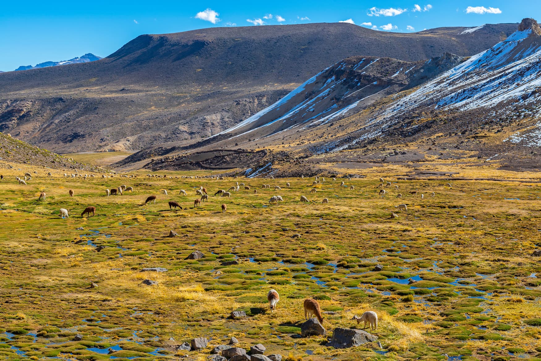 Peru Natur: Salinas 