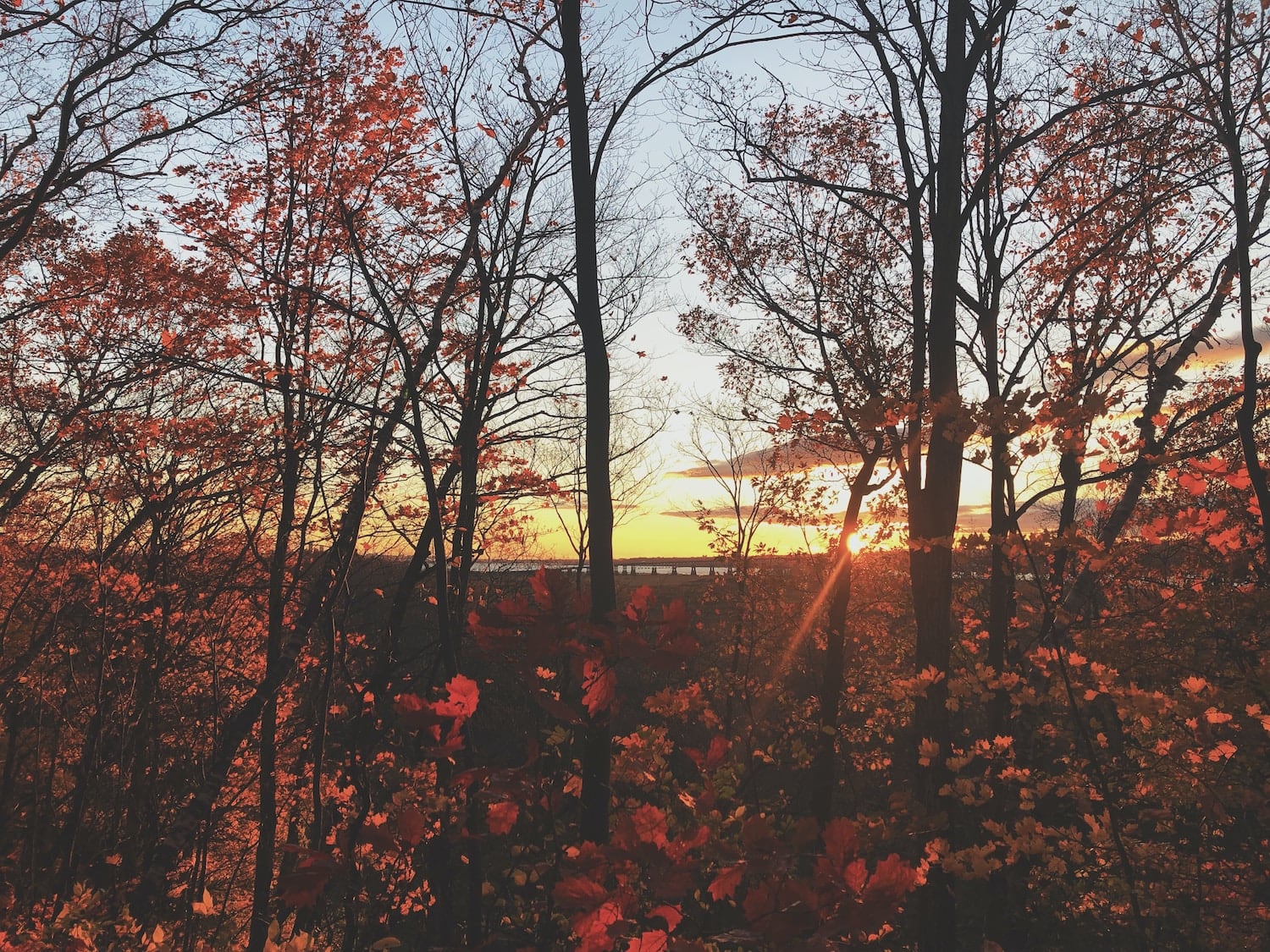 Herbst auf Île d'Orléans Québec