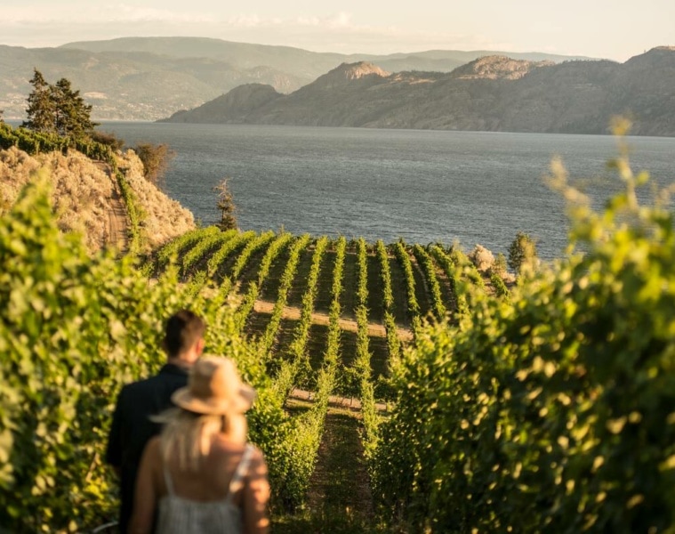Ein Paar im Evolve Cellars Weinberg mit Blick auf den Okanagan Lake