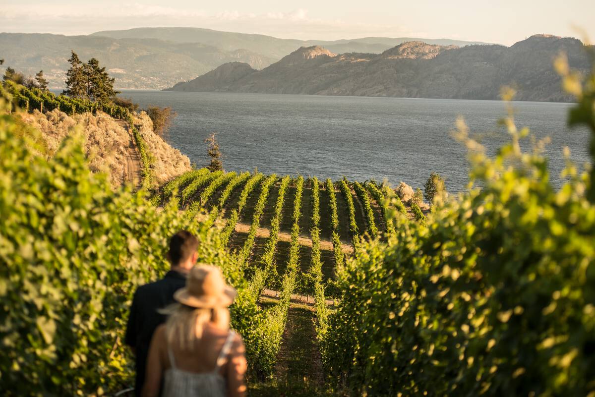 A couple at Evolve Cellars Vineyard with views of Okanagan Lake