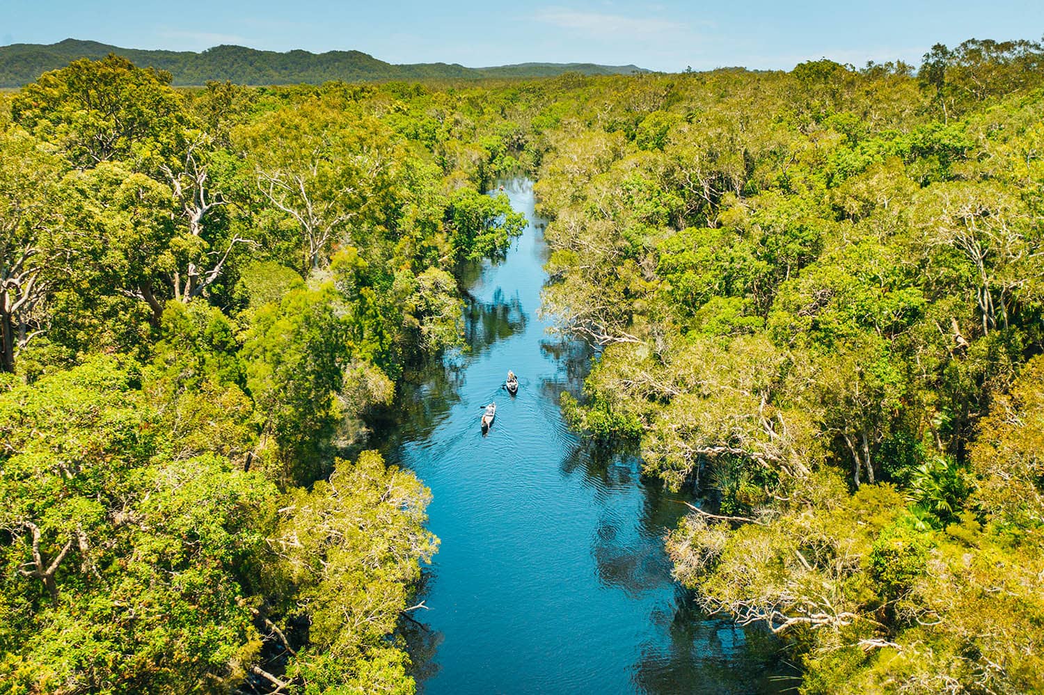 Die Noosa Everglades, eines von nur zwei Everglades-Systemen auf der Erde, sind eine Welt aus Wasser, Wildnis und Wundern am Oberlauf des Noosa Rivers.