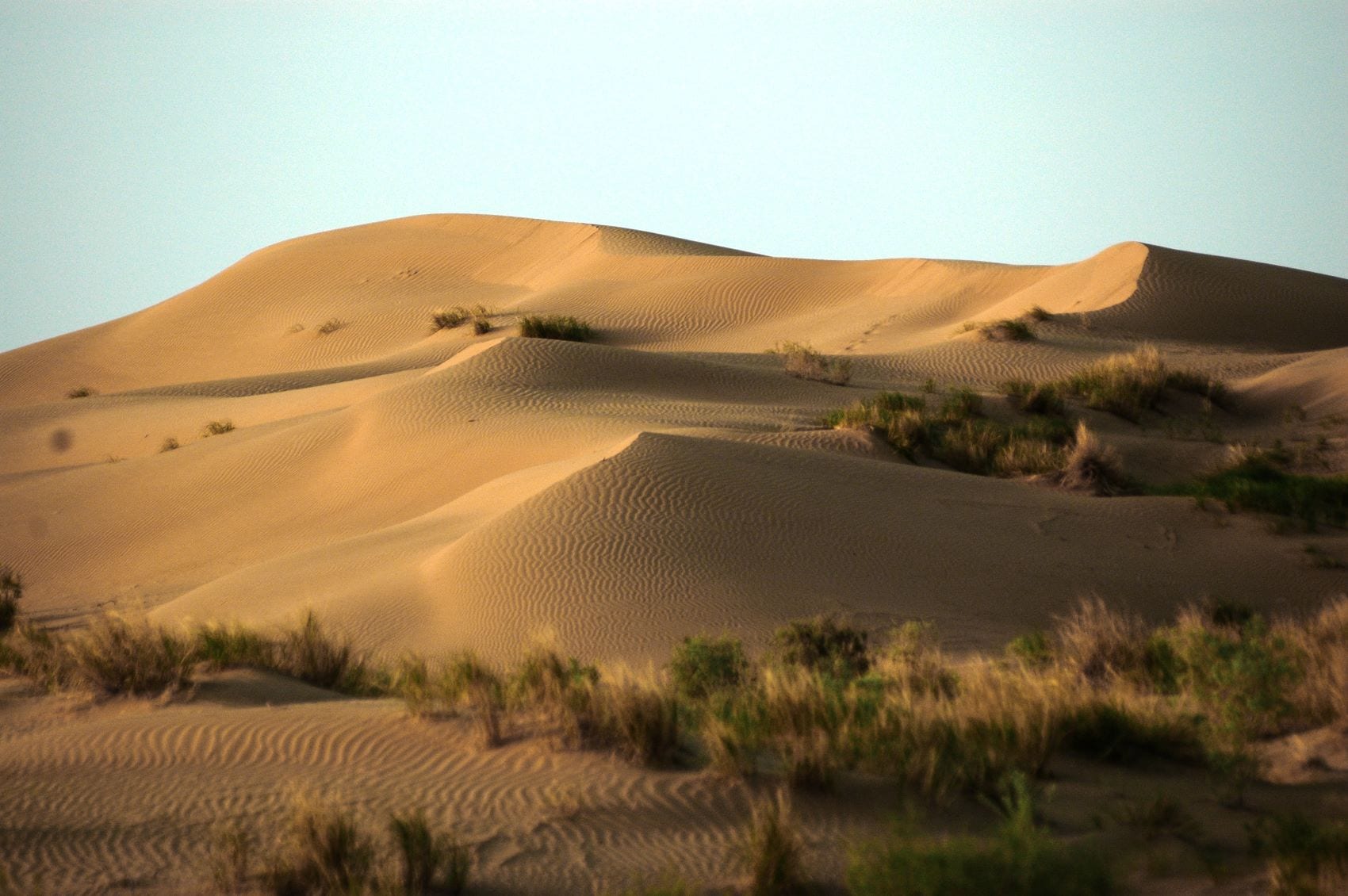 Karakum-Wüste in Turkmenistan