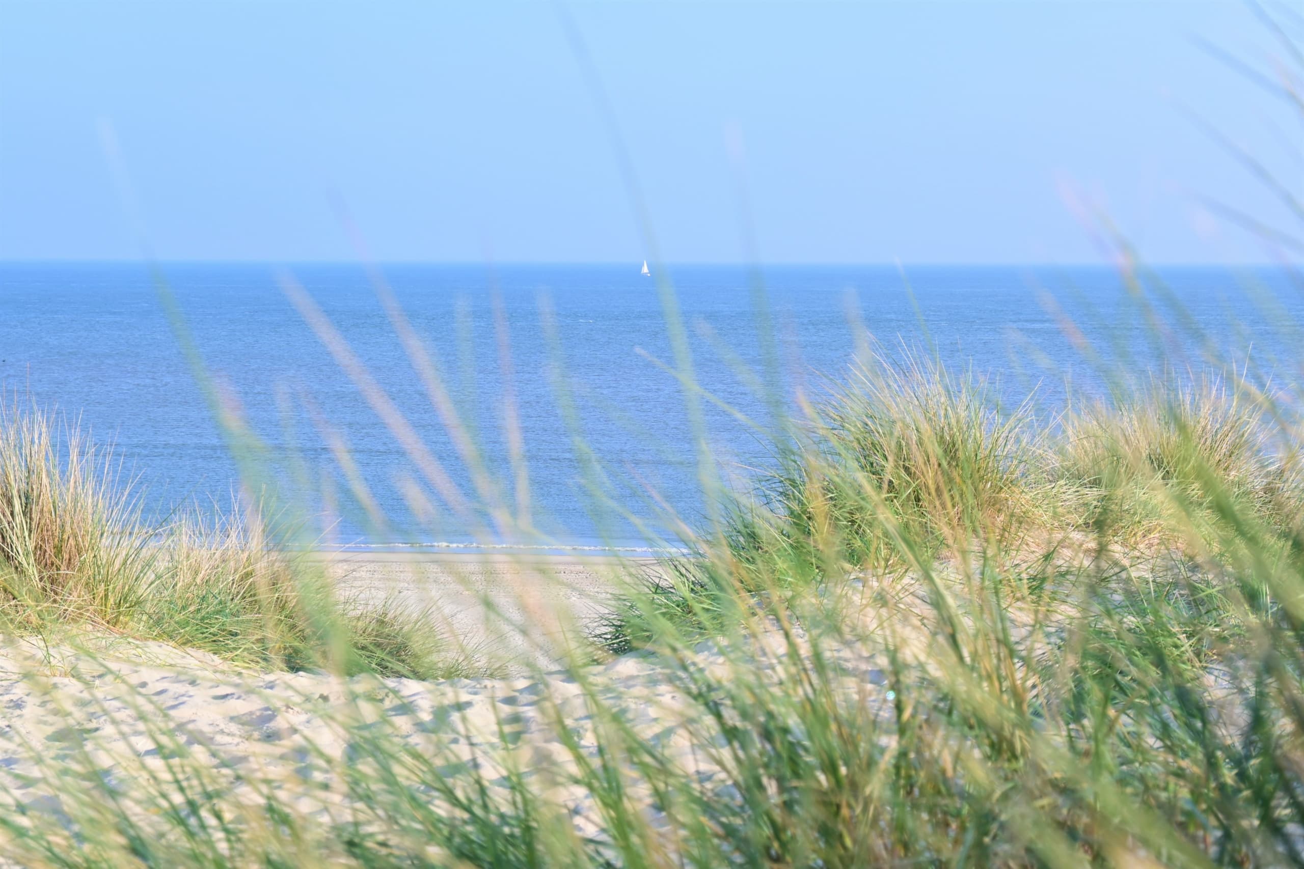 Strand auf Vlieland
