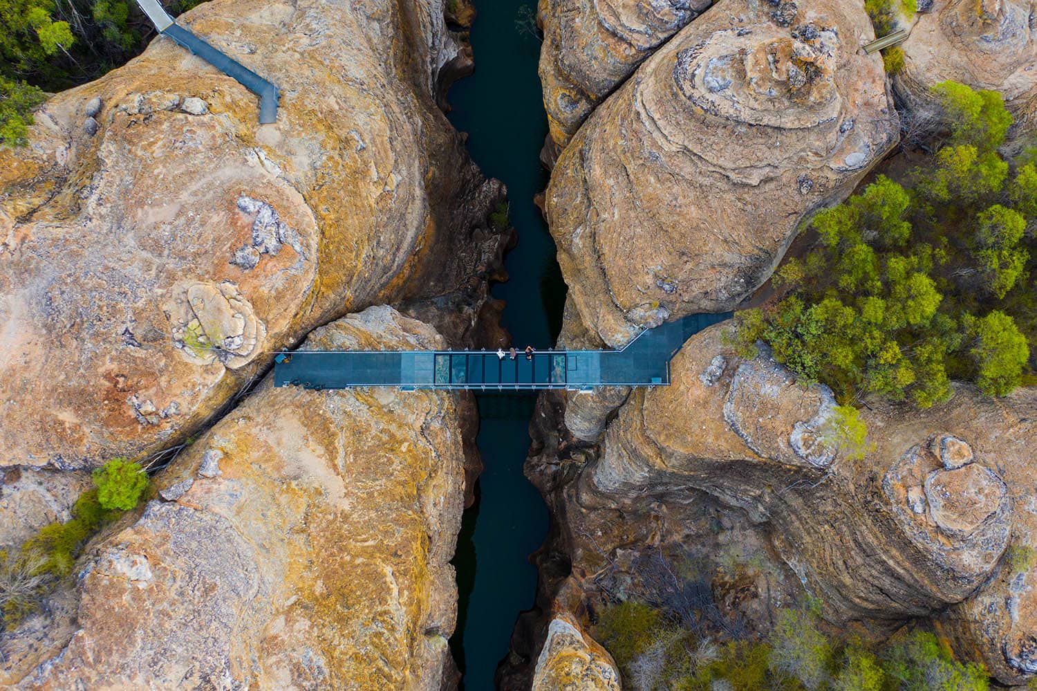 Für Mutige: Über die Glasbrücke des Cobbold Gorge laufen.