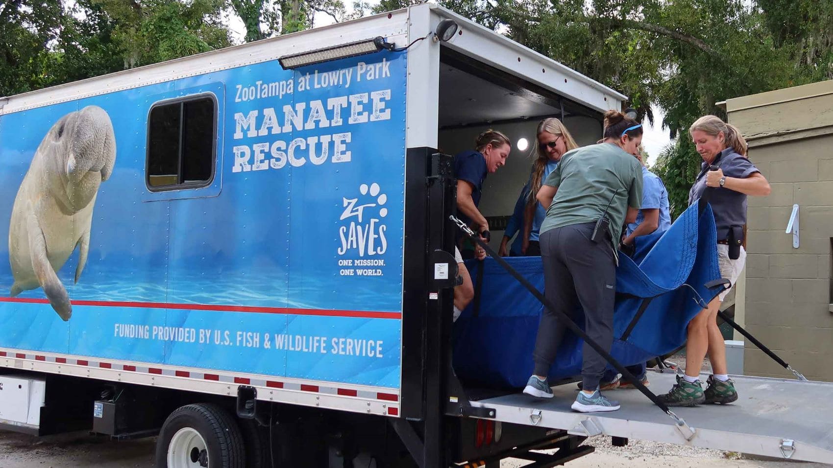 Zoo Tampa: Seekühe werden aus LKW entladen