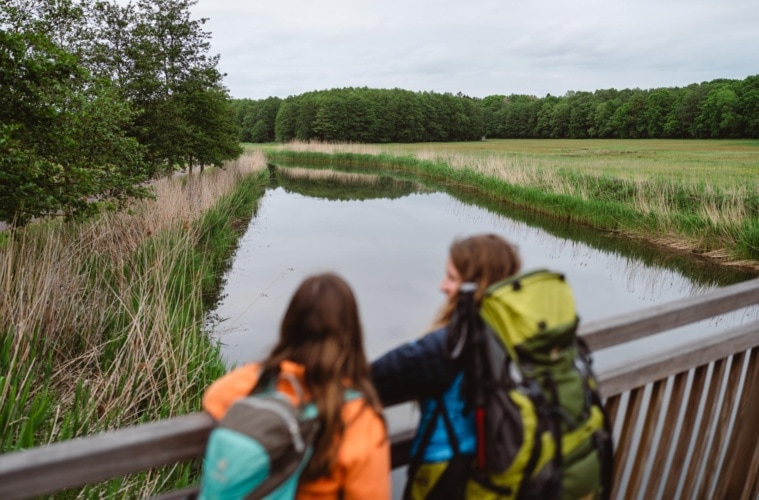 Auf dem Naturparkweg wandern durch Mecklenburg-Vorpommern.