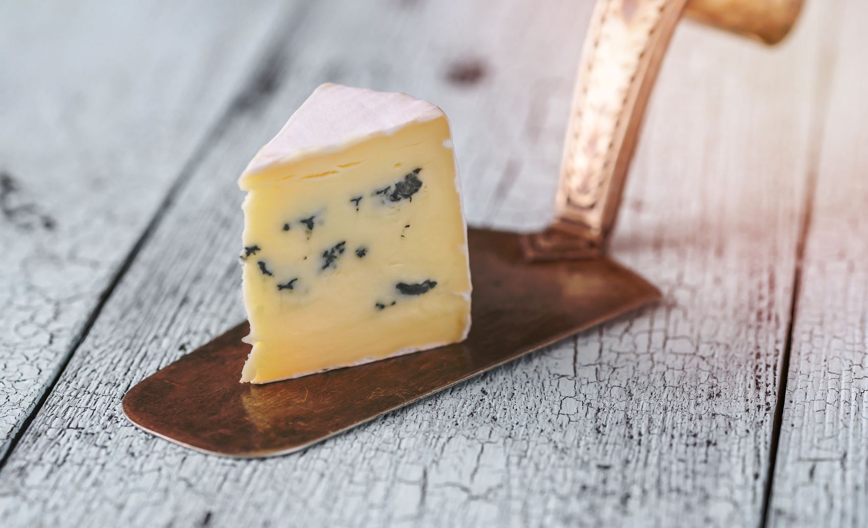 Käsestück Bleu de Bresse