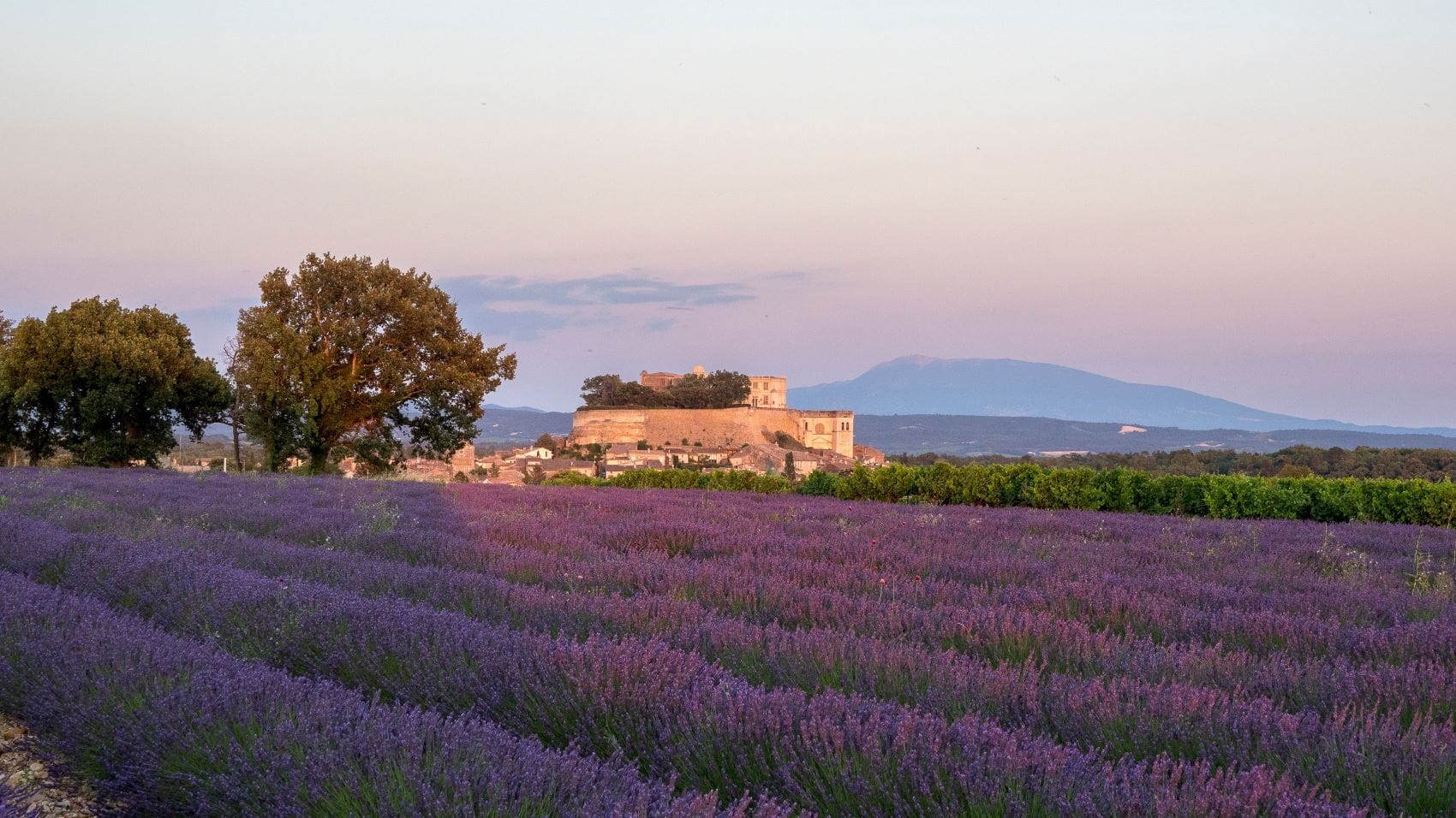 Château de Grignan, Lavendelfelder und Mont Ventoux im Hintergrund