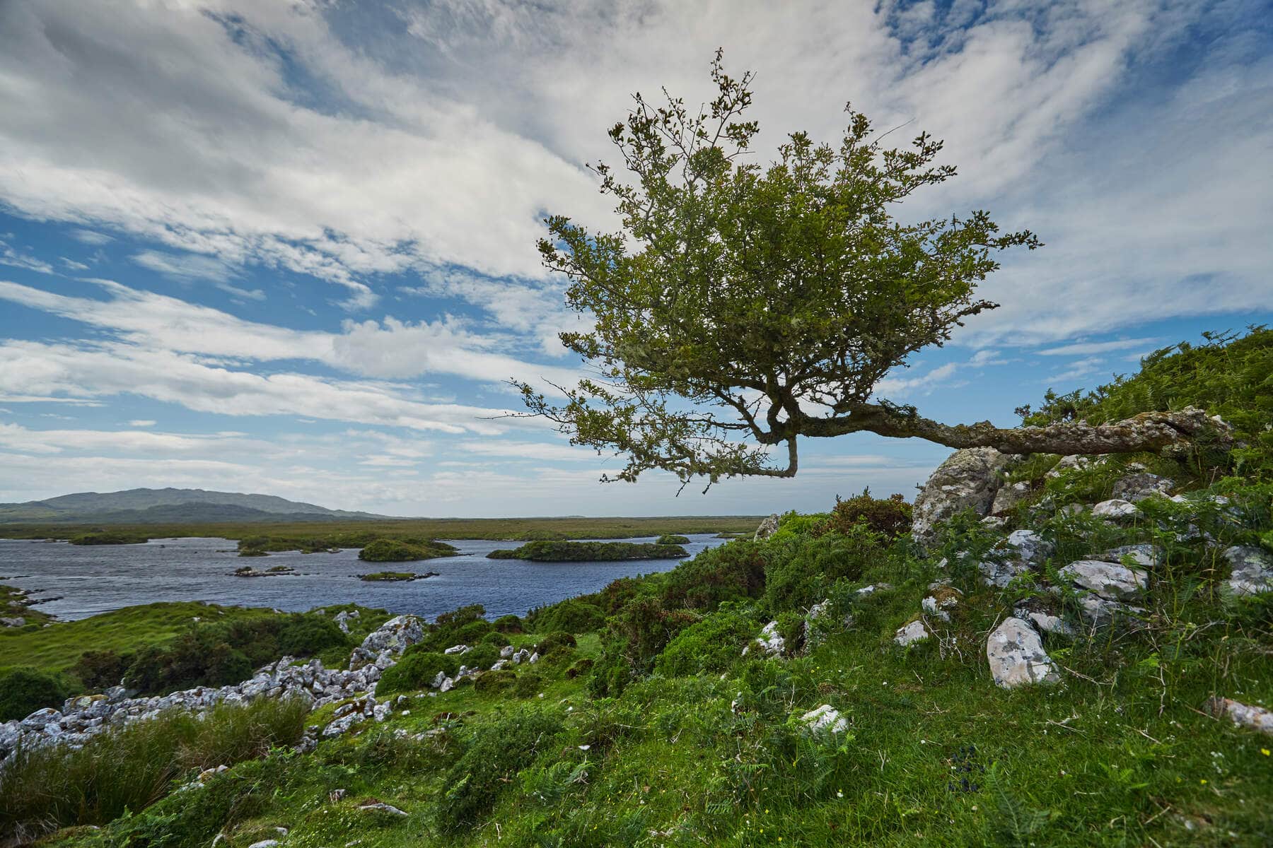 Eine Augenweide ist die Region Connemara