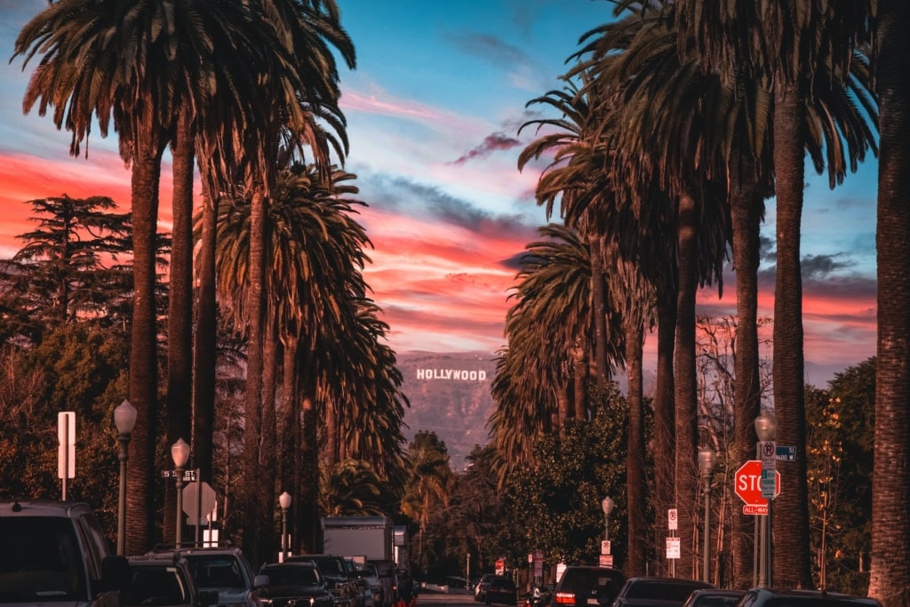 Hollywood-Schild mit Palmen
