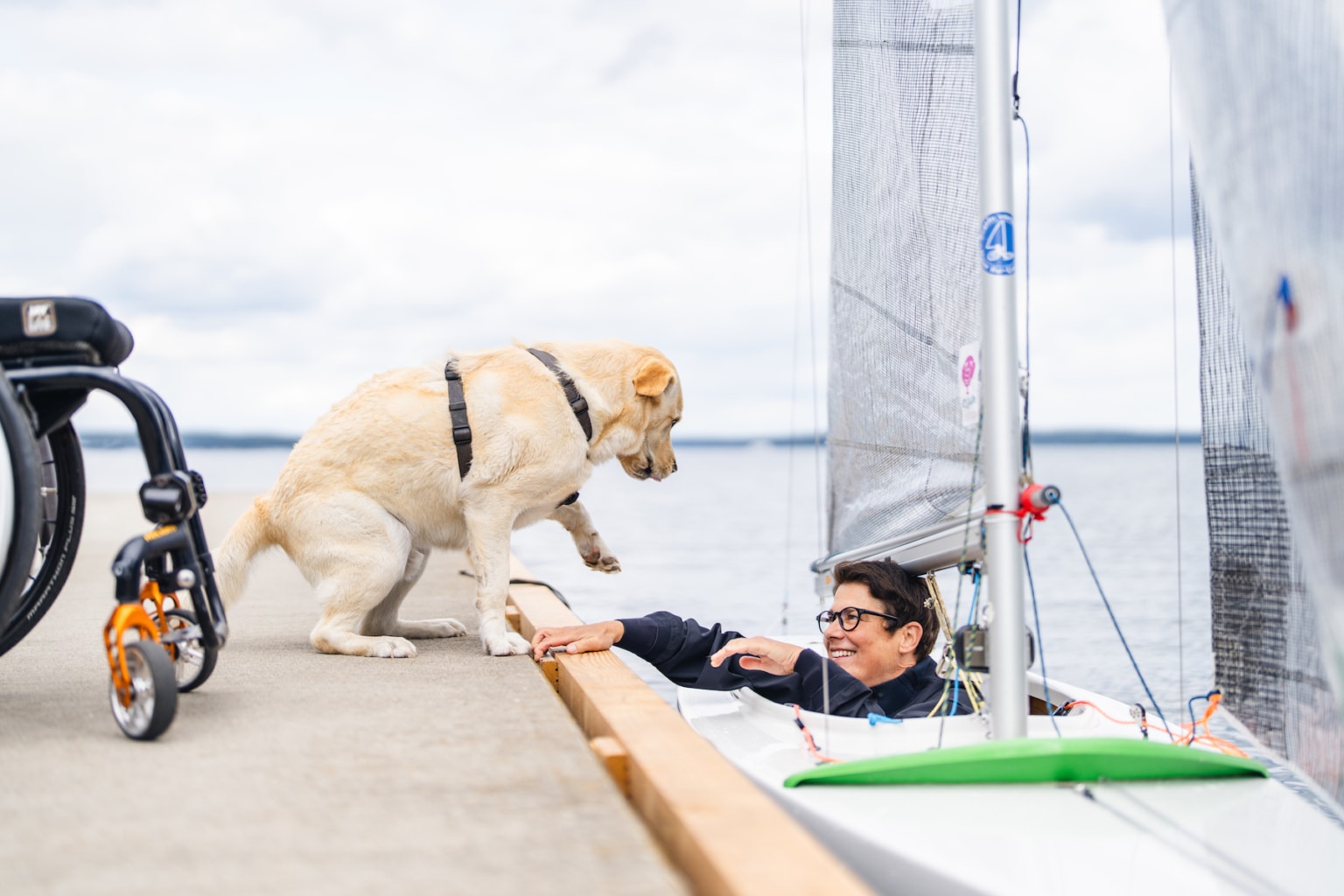 Der Hund nimmt Abschied vor dem Segeltörn. | Foto: TMV/Gross