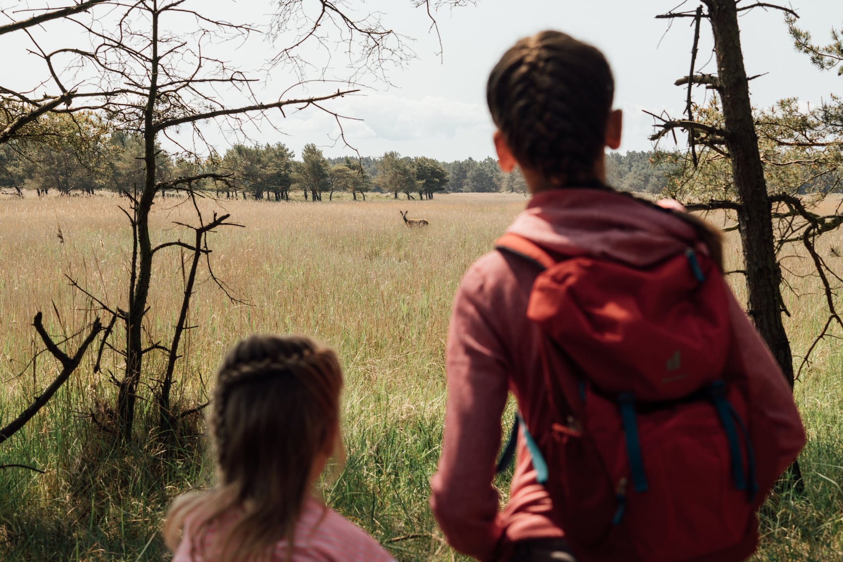 Tierisch gute Aussichten im Nationalpark Vorpommersche Boddenlandschaft. I Foto: TMV/Petermann