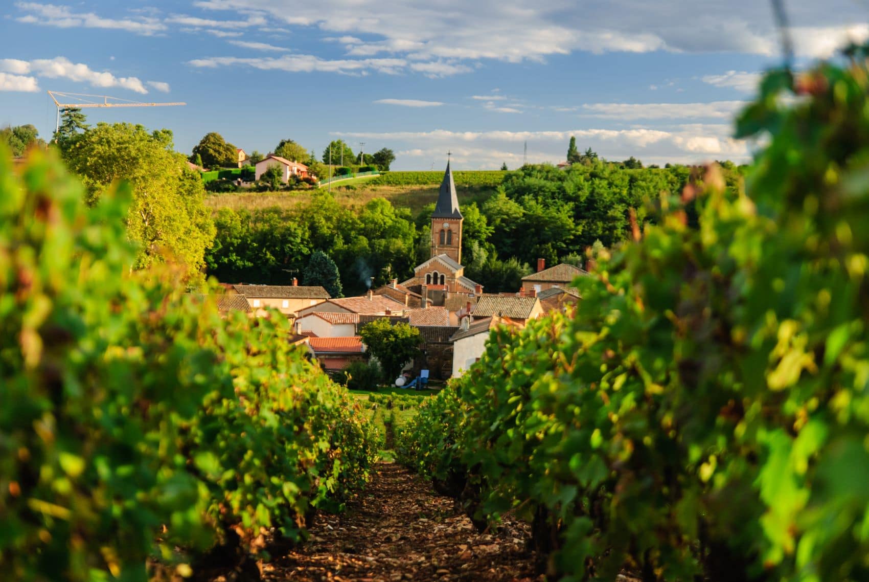 St. Julien Region Beaujolais Frankreich