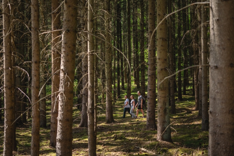 Wandern auf dem Naturparkweg ist Urlaub für die Sinne. I TMV/Gross