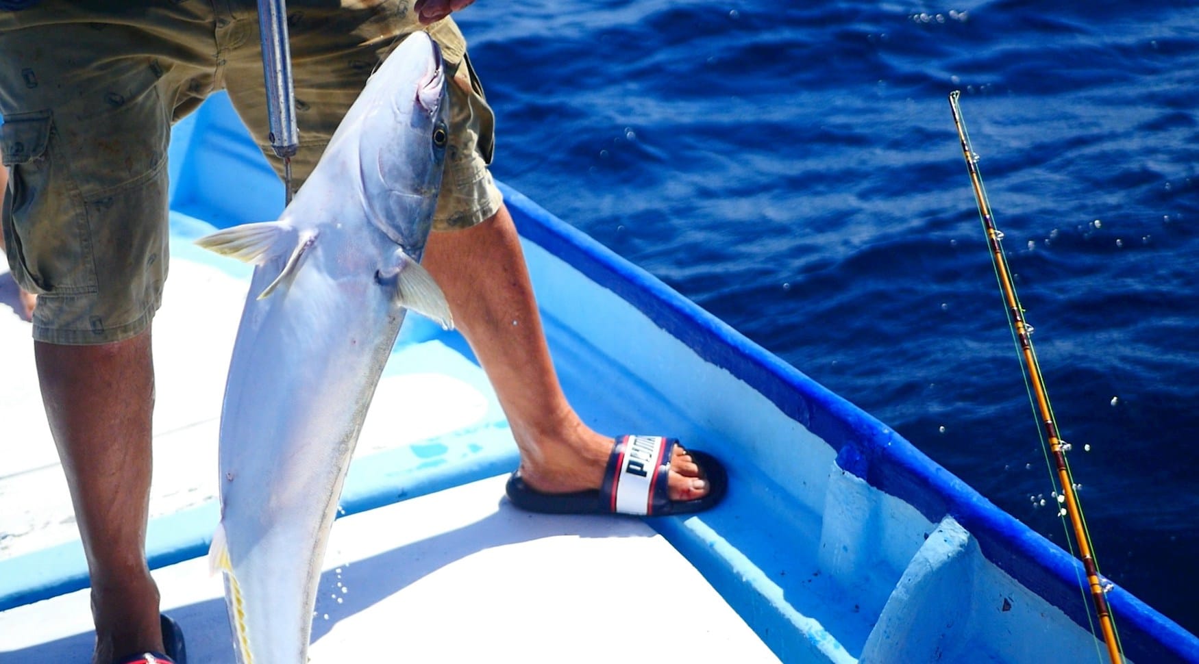Aktivitäten San Diego in Kalifornien: Fischen in der Baja California