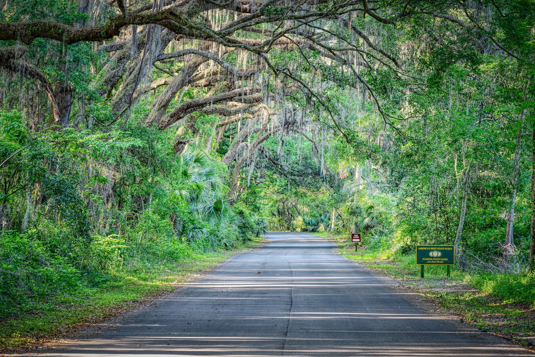 Paynes State Park in Florida