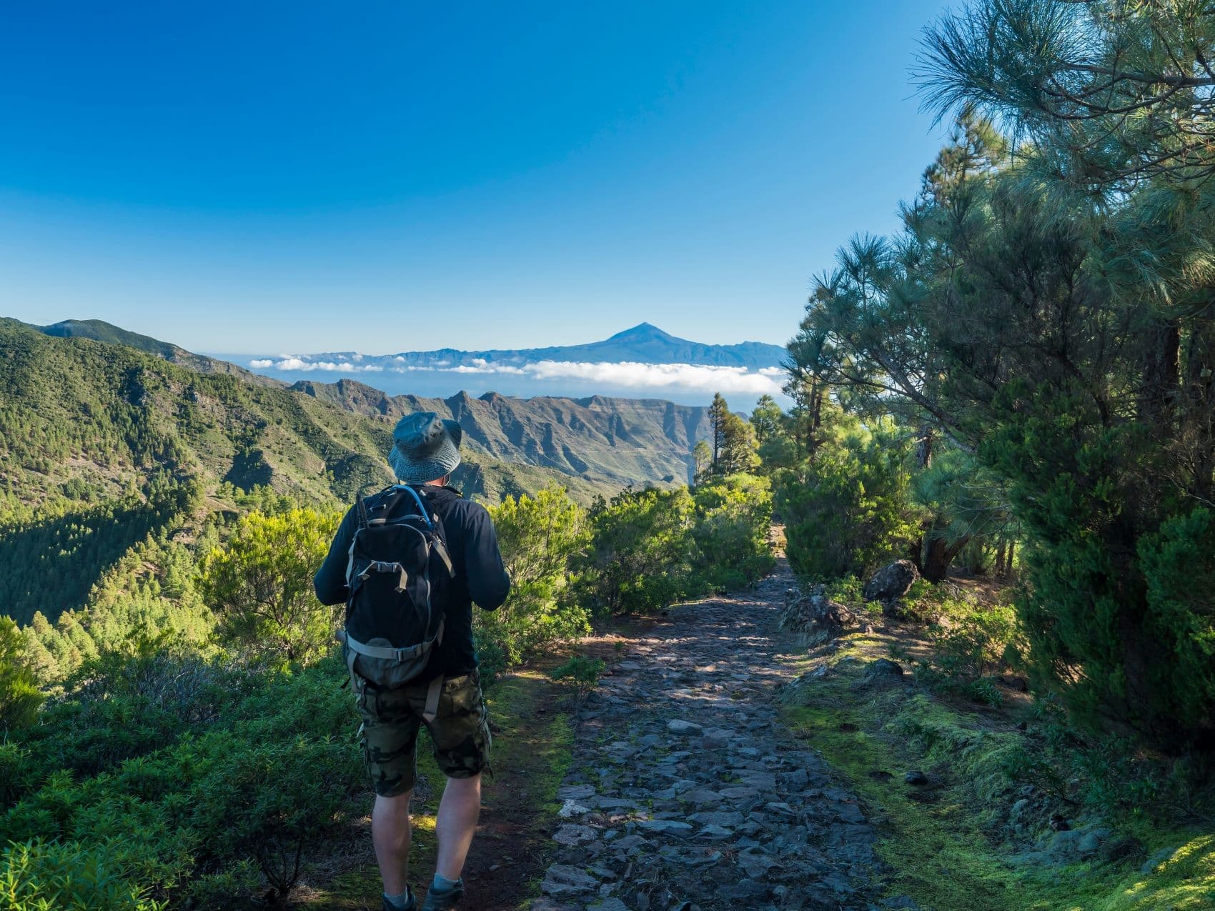 Wanderer im Garajonay Nationalpark auf Teneriffa