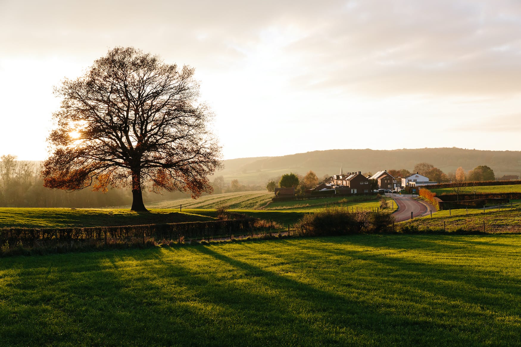 Landschaft in der Grenzregion Belgien und Niederlande