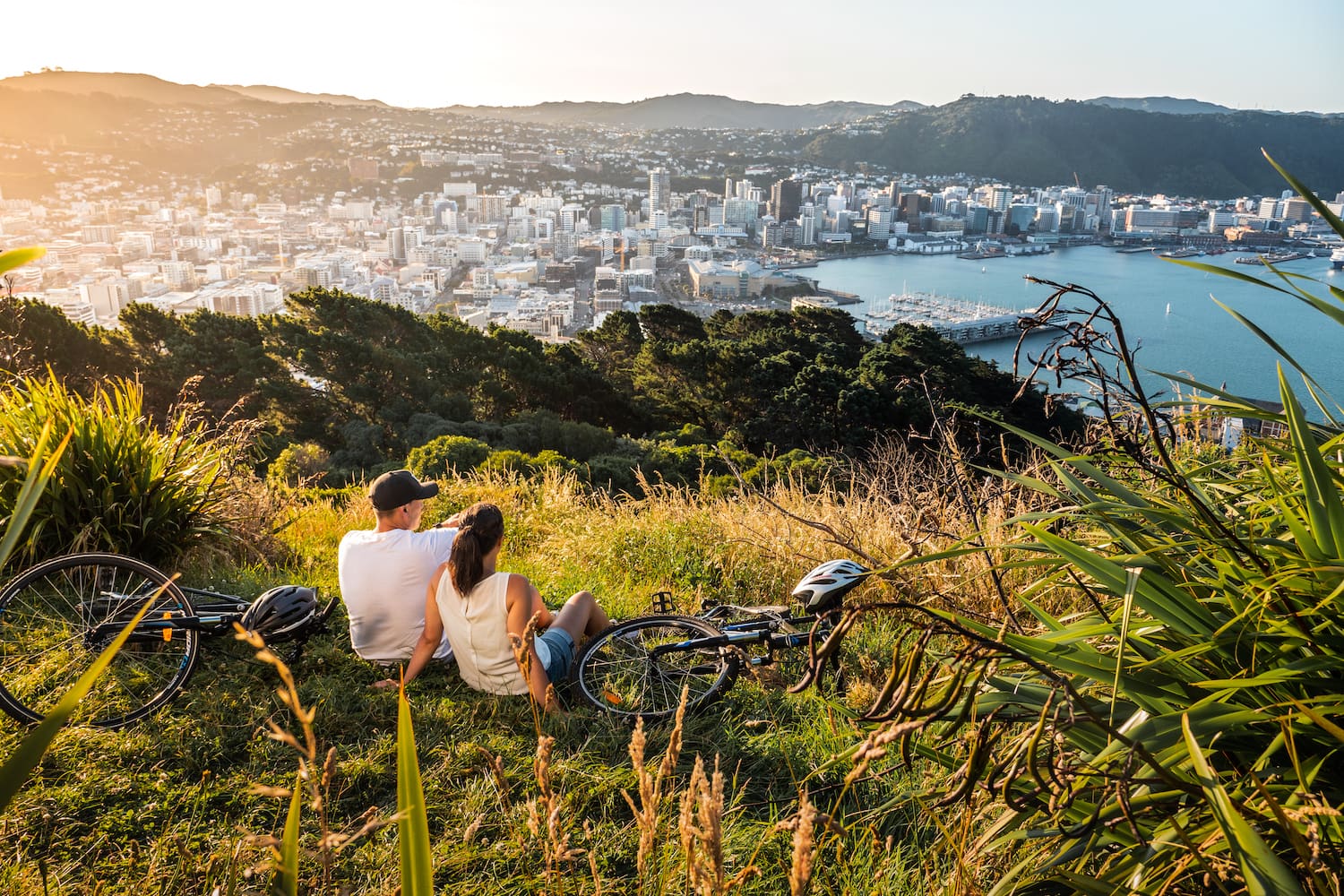 Mt Victoria Lookout in Wellington in Neuseeland